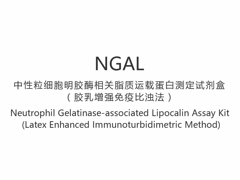【NGAL】Neutrophil zselatinázzal asszociált lipocalin vizsgálati készlet (latex fokozott immunturbidimetriás módszer)